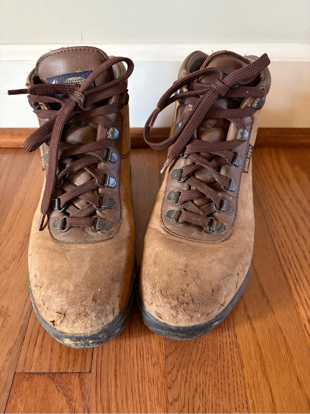 Women's Gore-Tex Vasque Sundowner Hiking Boots - Waterproof